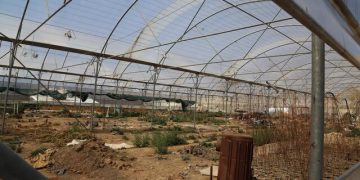 نفس‌های آخر بزرگترین شهرک گلخانه‌ای البرز!