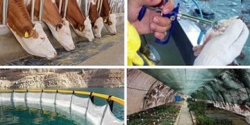 از توجه به بیمه آبزیان، حمایت از مرغدار و دامدار تا مخالفت با قیمت‌گذاری دستوری