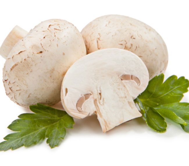 ضرورت تدوین برنامه برای شکوفایی صنعت قارچ