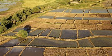 لزوم رفع تداخلات اراضى کشاورزى تا پایان امسال