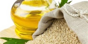 توجه به کشت گیاه کاملینا ضرورتی برای افزایش تولید دانه‌های روغنی