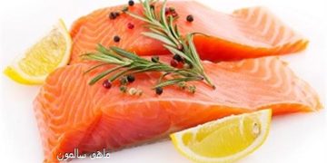 سرانه مصرف ماهی در کشور ۱۳ کیلو گرم است