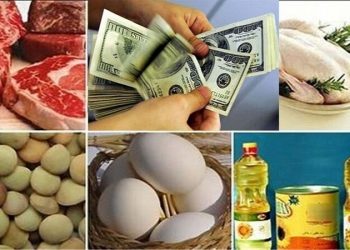 داغ قیمت بر بازار گوشت/ گوشت مرغ در مسیر افزایش