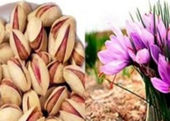 پسته و زعفران خراسان شمالی نیازمند ایجاد زنجیره ارزش