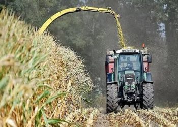تمامی محصولات کشاورزی الگوی کشت استان قم کود یارانه ای دریافت میکنند