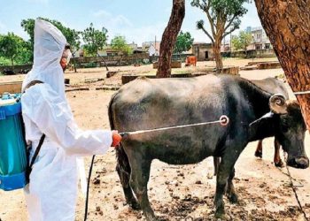 توصیه‌های سازمان دامپزشکی درباره بیماری تب کریمه کنگو