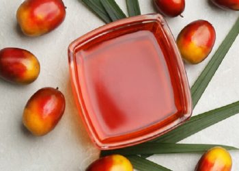 تاثیر ال‌نینو برروی تولید روغن پالم