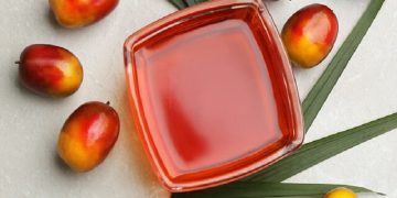 تاثیر ال‌نینو برروی تولید روغن پالم