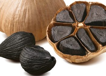 خواص فوق العاده سیر سیاه برای سلامتی