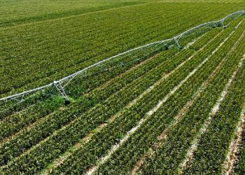 طرح‌های تحولی در حوزه‌های آب و خاک و آبخیزداری اجرا می‌شود