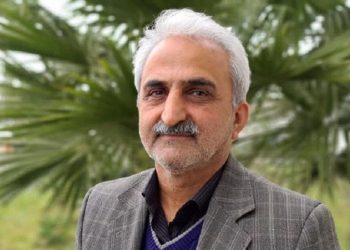 اقدامات موثر در راستای افزایش کمی و کیفی چای ایرانی