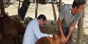 تولید اکثر اقلام دارویی دامپزشکی در داخل و امکان صادرات به کشورهای دیگر