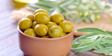 روسیه و آذربایجان از مشتریان زیتون صادراتی زنجان هستند