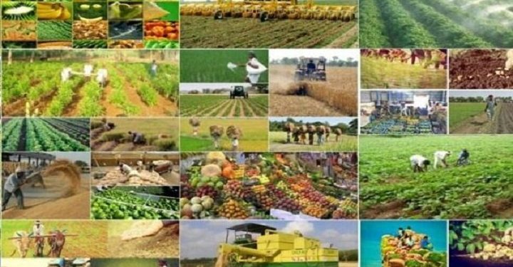 از فرصت‌های کشاورزی قرقیزستان و بلاروس تا از سرگیری صادرات به عراق