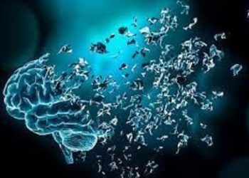 ماده غذایی که خطر از دست دادن حافظه را به نصف کاهش می‌دهد