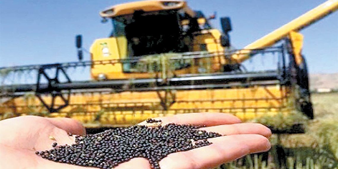 وقت‏‏‌کشی شیرین!