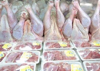 نیاز ماهیانه ۲۰۰ هزارتن گوشت مرغ در کشور
