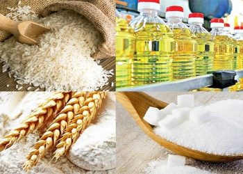 رشد ۳۰۰ درصدی صادرات تعاونی‌های روستایی تا پایان سال