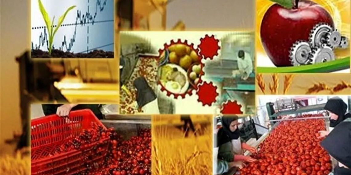 برنامهریزی وزارت جهاد کشاورزی برای حذف خام فروشی
