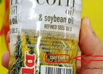 محصولات تراریخته هنوز یک “جعبه سیاه” هستند/ مکانیزم معیوب نظارت بر عرضه محصولات تراریخته در بازار کشورمان!