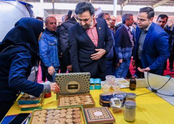 با حضور معاون علمی رییس جمهور؛ نخستین شهرک نوآوری‌ کشاورزی و امنیت غذا در البرز آغاز به کار کرد