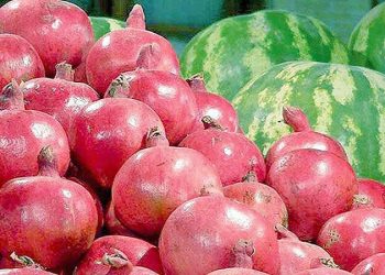 شب گذشته ۶ هزار تن بار هندوانه و انار وارد تهران شد