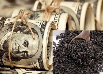 بهمن ۱۴۰۱ «دبش» درخواست اتحادیه برای ابهام‌زدایی را رد کرده بود