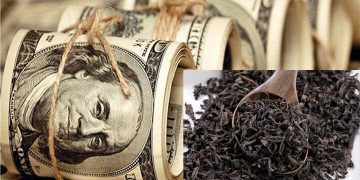 بهمن ۱۴۰۱ «دبش» درخواست اتحادیه برای ابهام‌زدایی را رد کرده بود