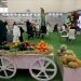 فردا دهمین دوره نمایشگاه تخصصی نهاده‌های کشاورزی آغاز می‌شود