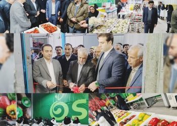 ضرورت تغییر رویکرد از”تولید محور” به “بازار محور” در محصولات کشاورزی لرستان