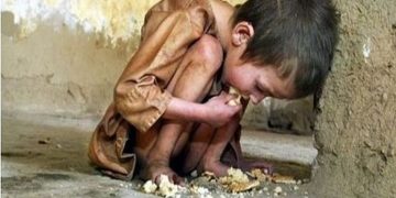 چراغ امنیت غذایی در جهان قرمز شد