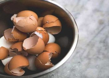 با پوسته تخم مرغ پوشش ضدخوردگی بسازید!