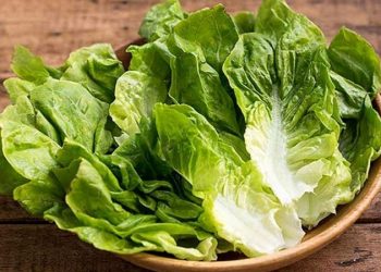 ۹ خاصیت شگفت‌انگیز کاهو