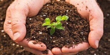 ۵۵ درصد خاک‌های ایران دارای ماده آلی زیر یک درصد هستند