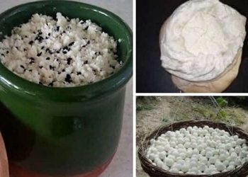 ۳ محصول کشاورزی ثبت ملی شد/ ۲۰ محصول در نوبت ثبت