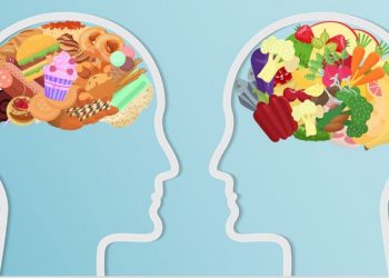 سلامت مغز به غذا ربط دارد؟/ پاسخ محققان بعد از هفت دهه تحقیق