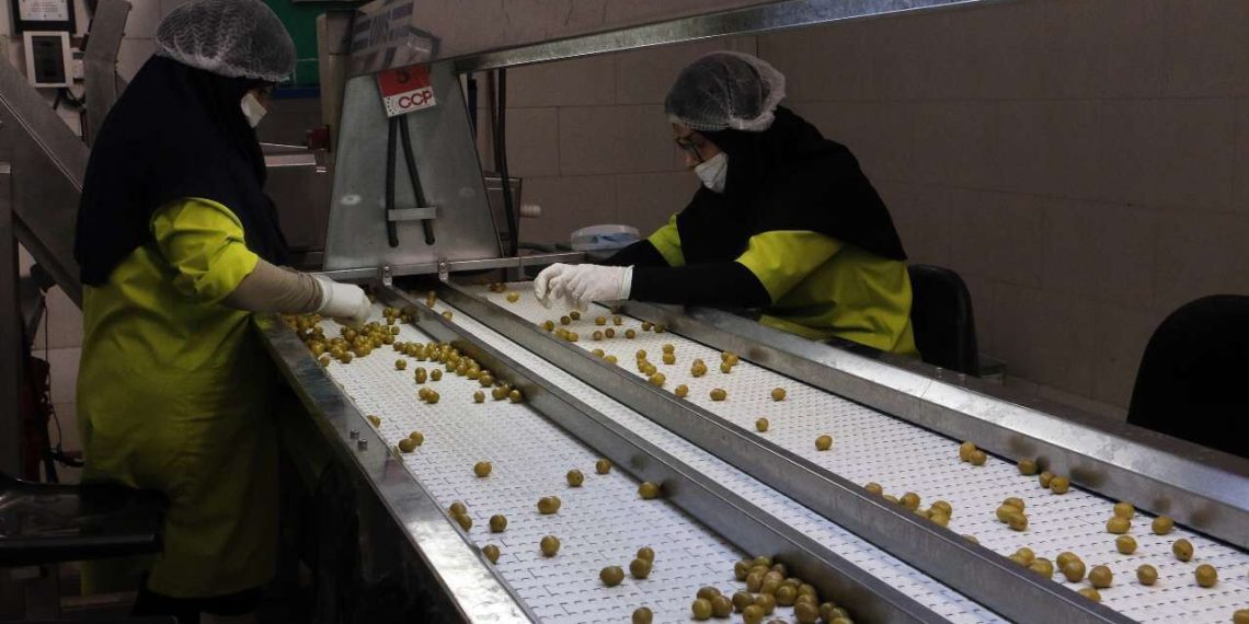 بهرهبرداری از ۹ هزار میلیارد تومان پروژههای صنایع تبدیلی کشاورزی در هفته دولت