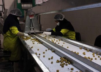 بهره‌برداری از ۹ هزار میلیارد تومان پروژه‌های صنایع تبدیلی کشاورزی در هفته دولت