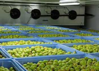 مجوز احداث سردخانه نگهداری محصولات کشاورزی در اهواز صادر شد