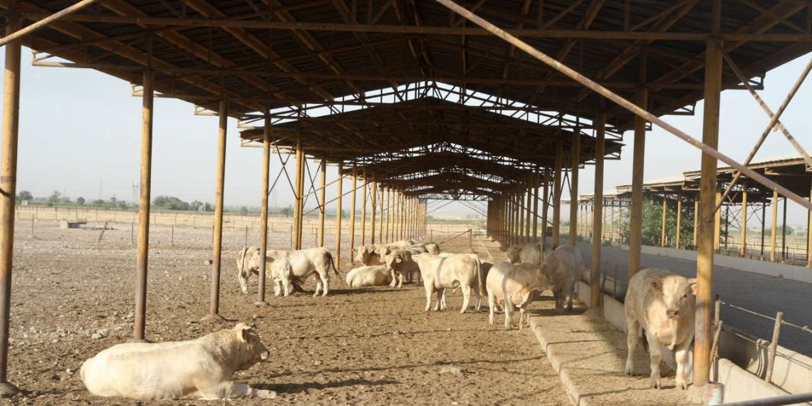 تشدید نظارت بهداشتی و شرعی بر موکبهای ایرانی و عراقی