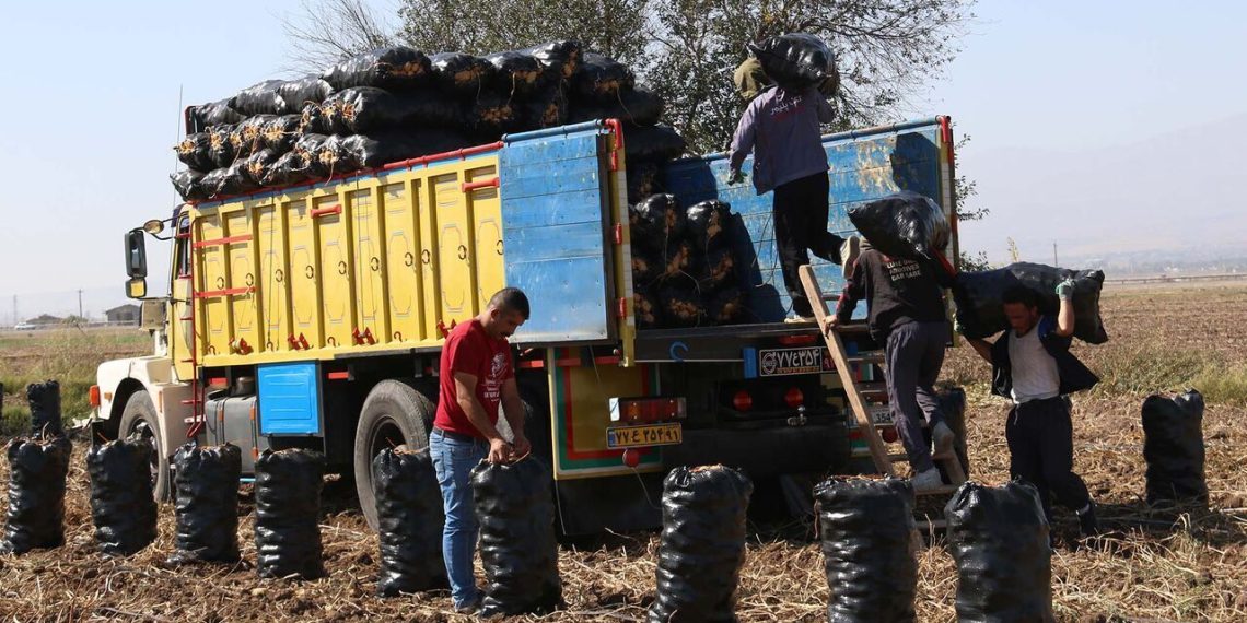 کلاهبرداری ۶۰ میلیارد تومانی با ترفند خرید محصولات کشاورزی