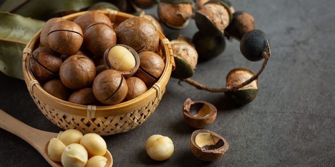 خواص فوق‌العاده فندق: از کاهش وزن تا مبارزه با سرطان