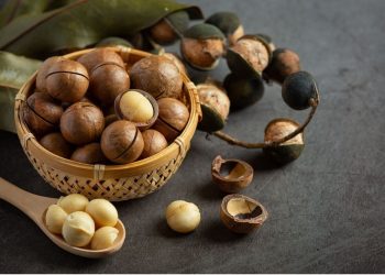 خواص فوق‌العاده فندق: از کاهش وزن تا مبارزه با سرطان