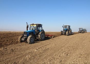 ۴۰۰ هزار هکتار از اراضی استان اردبیل به زیر کشت گندم و جو می‌رود