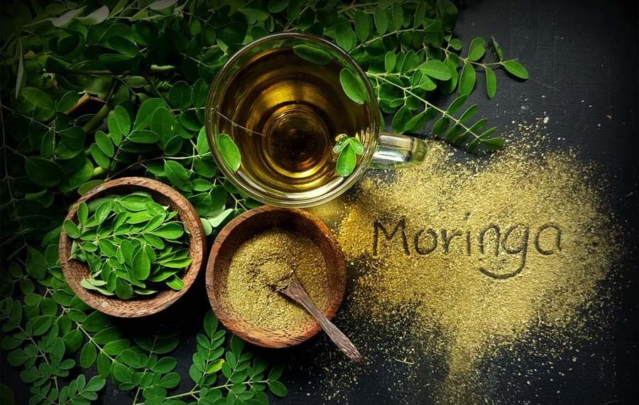 فواید مورینگا برای بدن