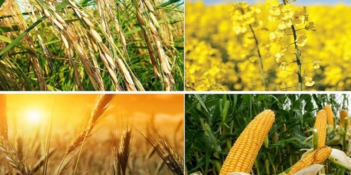 وابستگی ۷۰ درصدی سفره خانوار به آن سوی مرزها