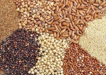 ۷ رقم جدید گیاهی در البرز معرفی و رونمایی شد