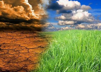 ایران اقدامات موثری برای کاهش گازهای گلخانه‌ای بخش کشاورزی انجام داده است