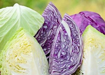 کلم بنفش در بازار ۵۸ هزار تومان شد+جدول قیمت عمده میوه و سبزیجات