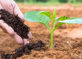 آلودگی‌های زیادی به شکل نقطه‌ای در حوزه کشت داریم